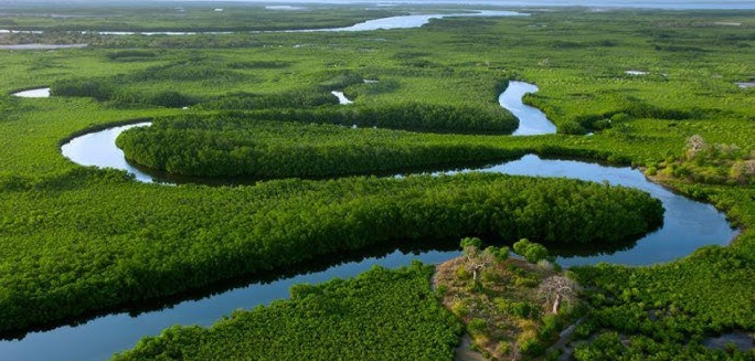 Sénégal, le delta de Saloum