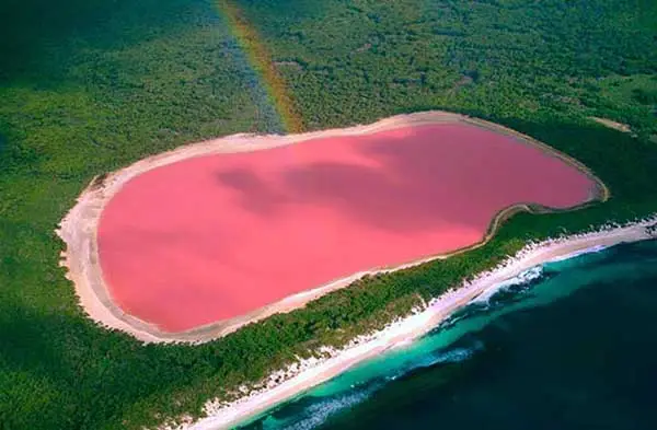 Sénégal, le lac Rose